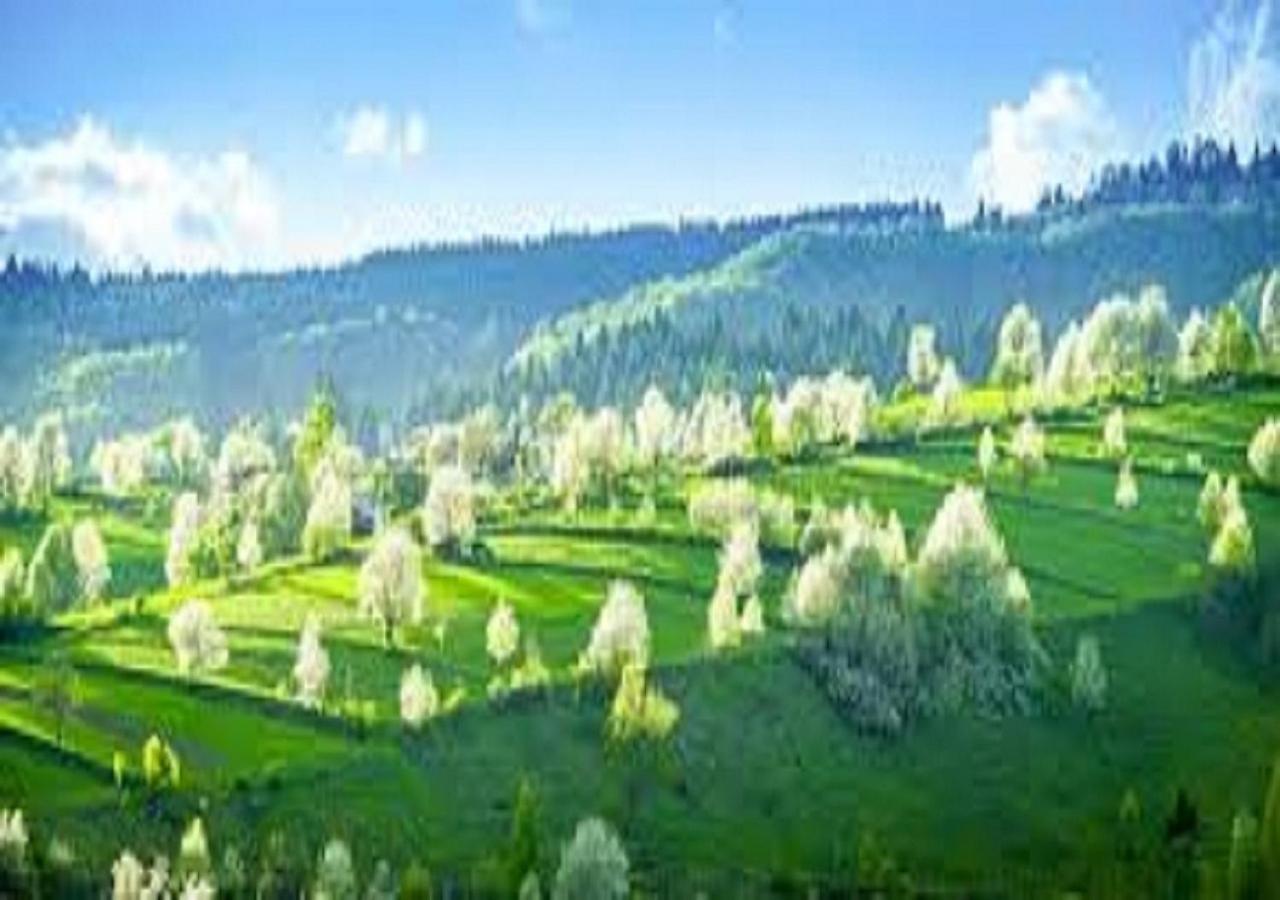 Penzion** Amalka Hrinova Ngoại thất bức ảnh